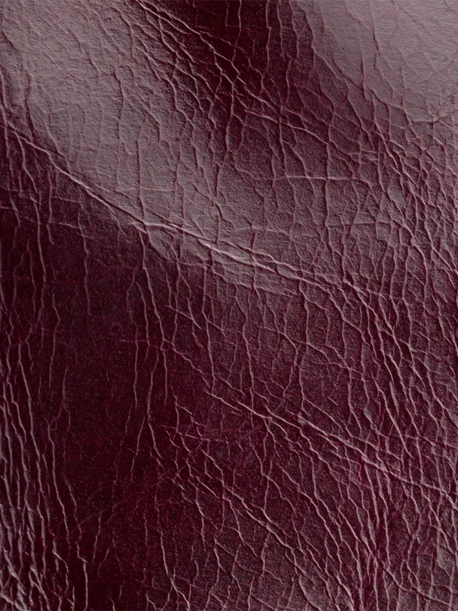 Prada Women's Leather Pouch | Thumbnail 4