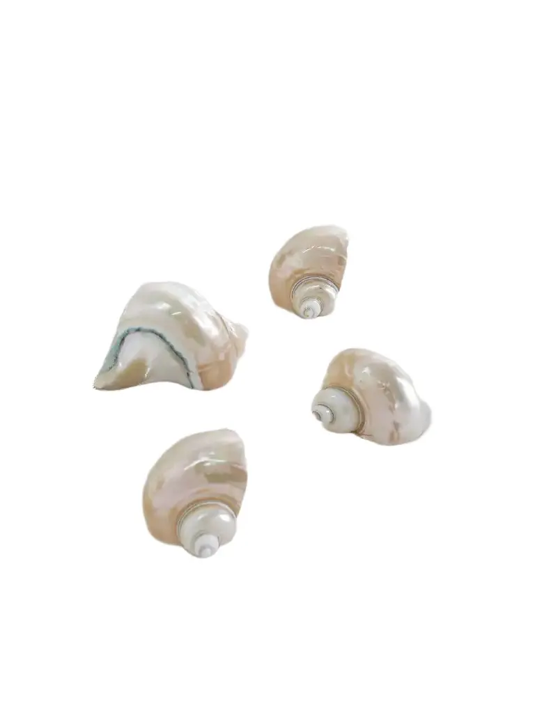 Set Of Four Mother-of-pearl Napkin Rings Set Of Four Mother-of-pearl Napkin Rings