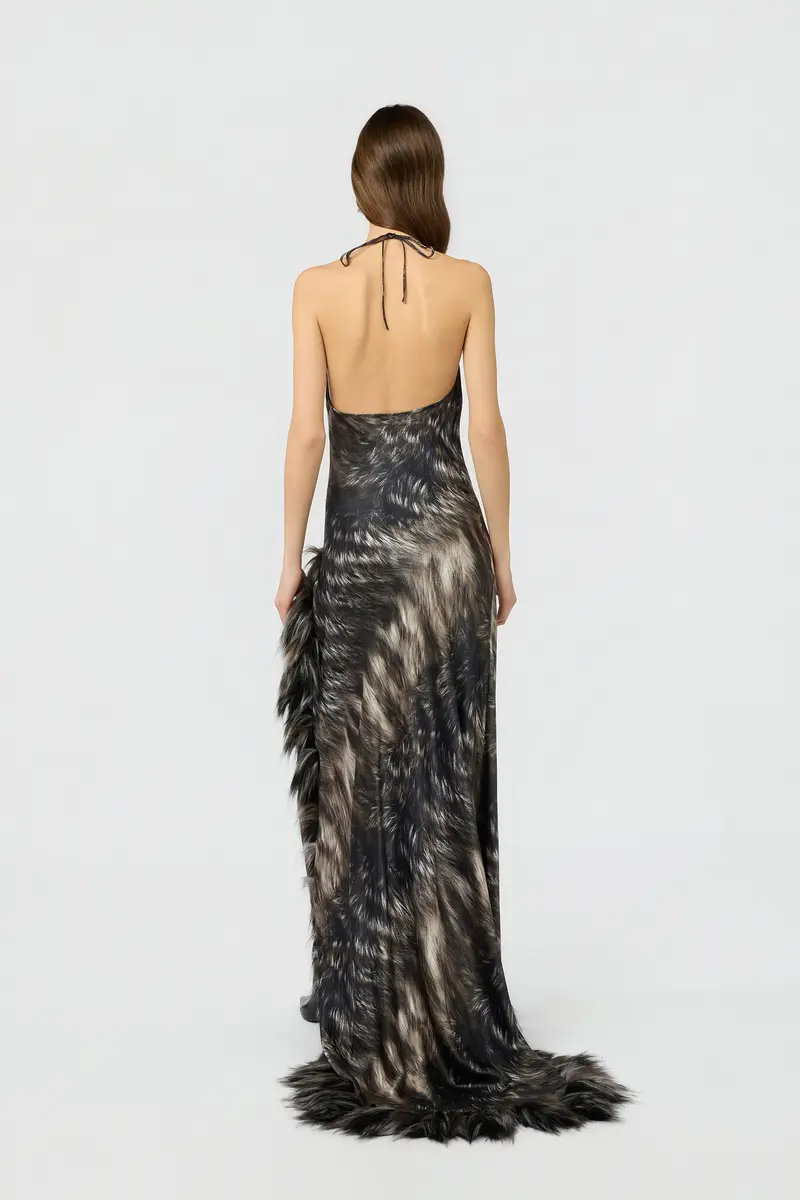 Roberto Cavalli Dress in Silk with Fur Print | Thumbnail 3