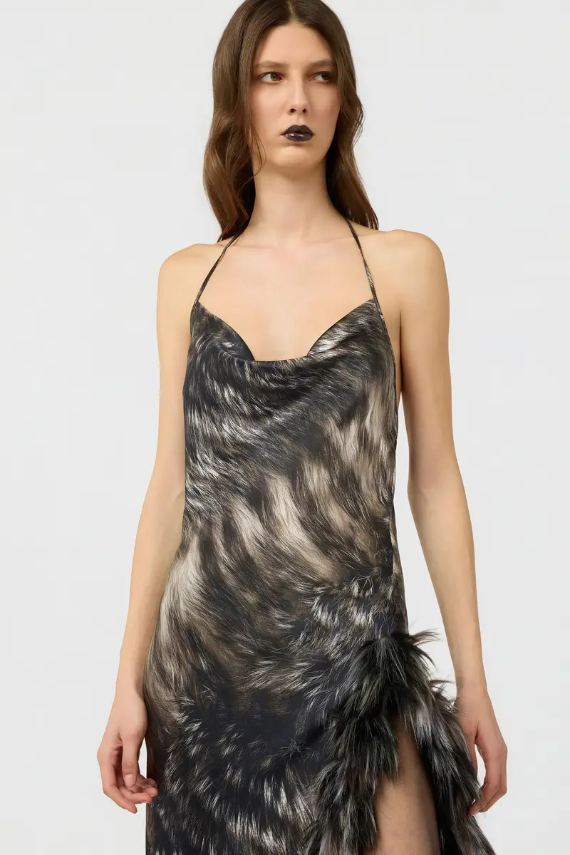 Roberto Cavalli Dress in Silk with Fur Print | Thumbnail 4