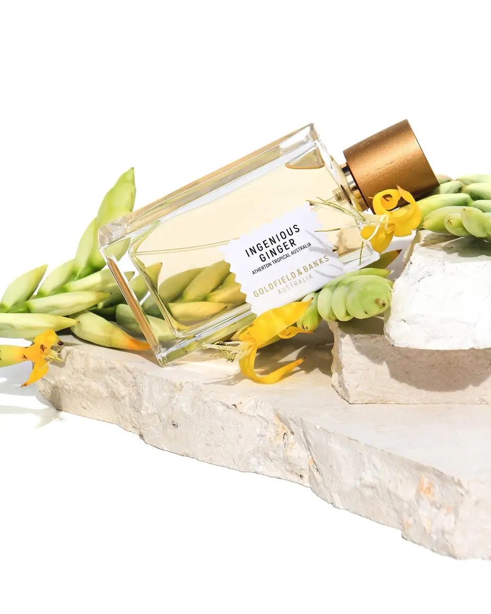 Goldfield & Banks Ingenious Ginger Pure Perfume, 3.4 oz. | Thumbnail 6 Goldfield & Banks Ingenious Ginger Pure Perfume, 3.4 oz. | Thumbnail 6