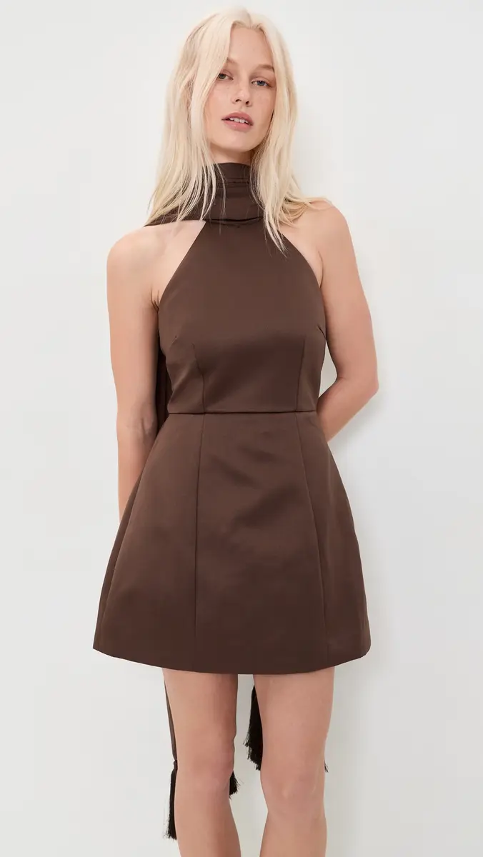 Couper Hazel Chocolate Dress | Thumbnail 3