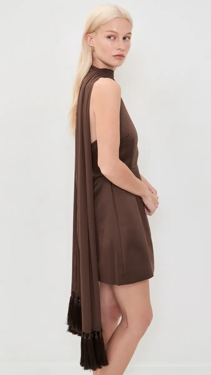 Couper Hazel Chocolate Dress | Thumbnail 5