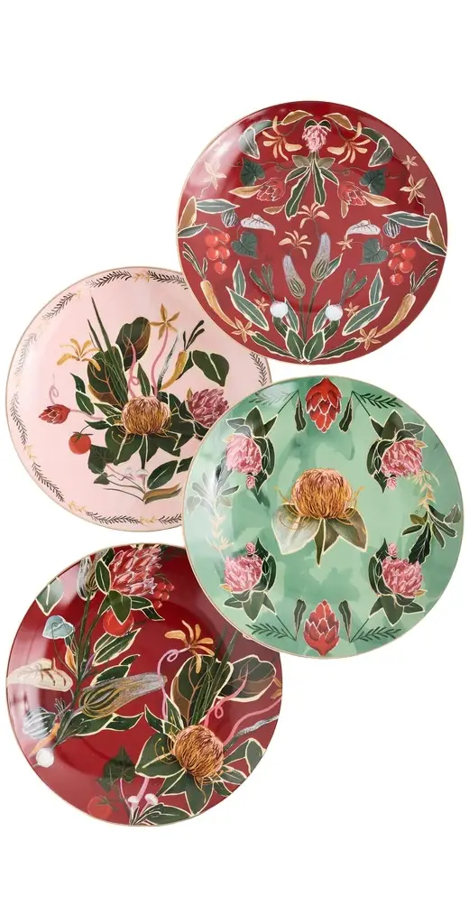 Farm Rio Set of 4 Painted Farm Dinner Plates