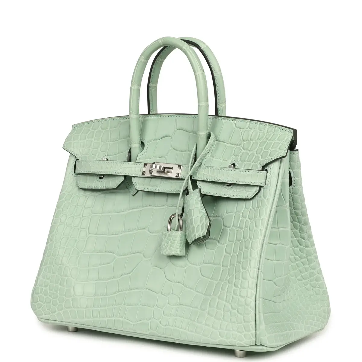 HERMÈS Hermes Birkin 25 Vert D'Eau Matte Alligator Palladium Hardware | Thumbnail 5 HERMÈS Hermes Birkin 25 Vert D'Eau Matte Alligator Palladium Hardware | Thumbnail 5