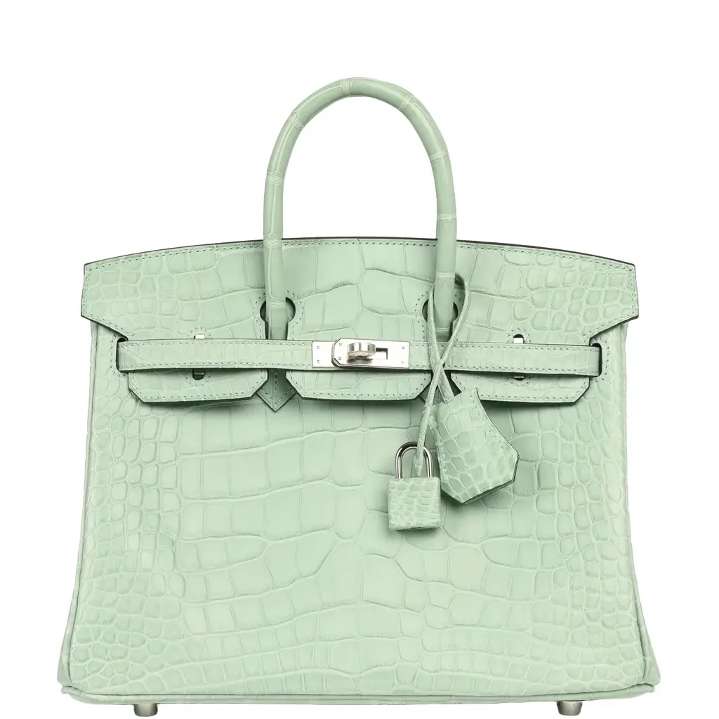 HERMÈS Hermes Birkin 25 Vert D'Eau Matte Alligator Palladium Hardware