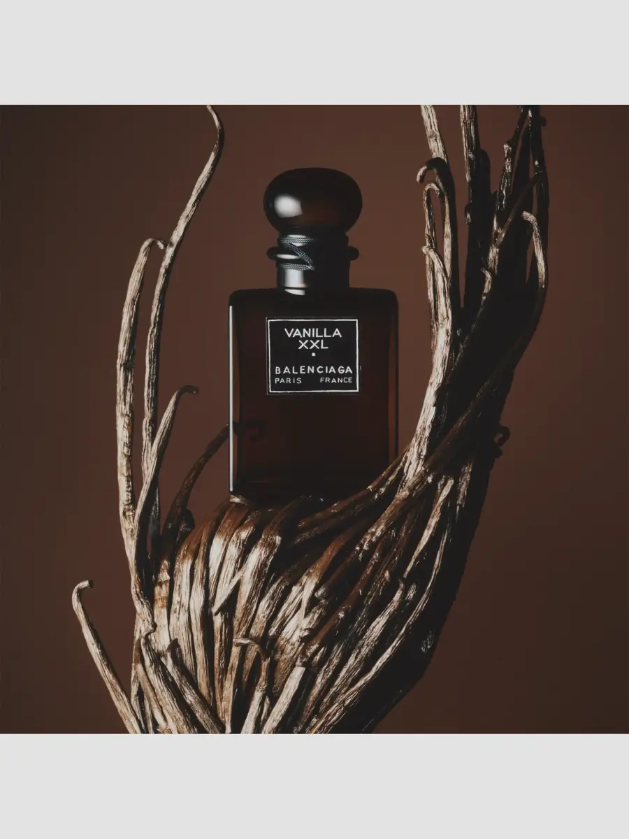 Balenciaga Vanilla XXL Extrait de Parfum | Thumbnail 6 Balenciaga Vanilla XXL Extrait de Parfum | Thumbnail 6