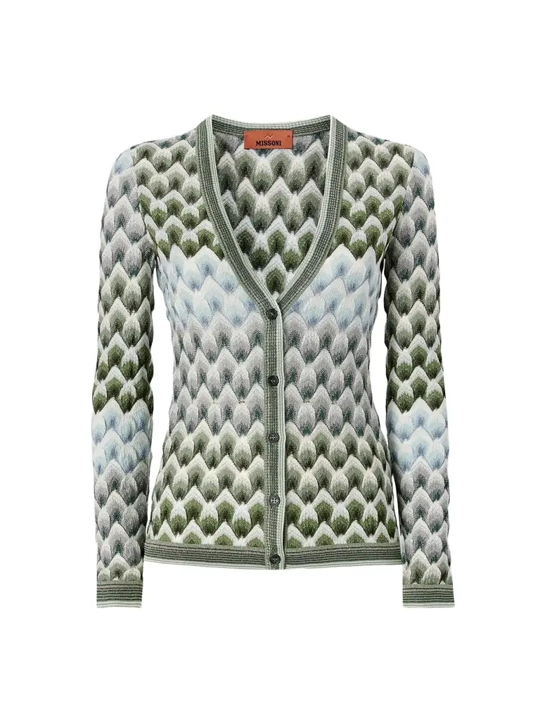 Women's Scale Pattern V-Neck Sweater