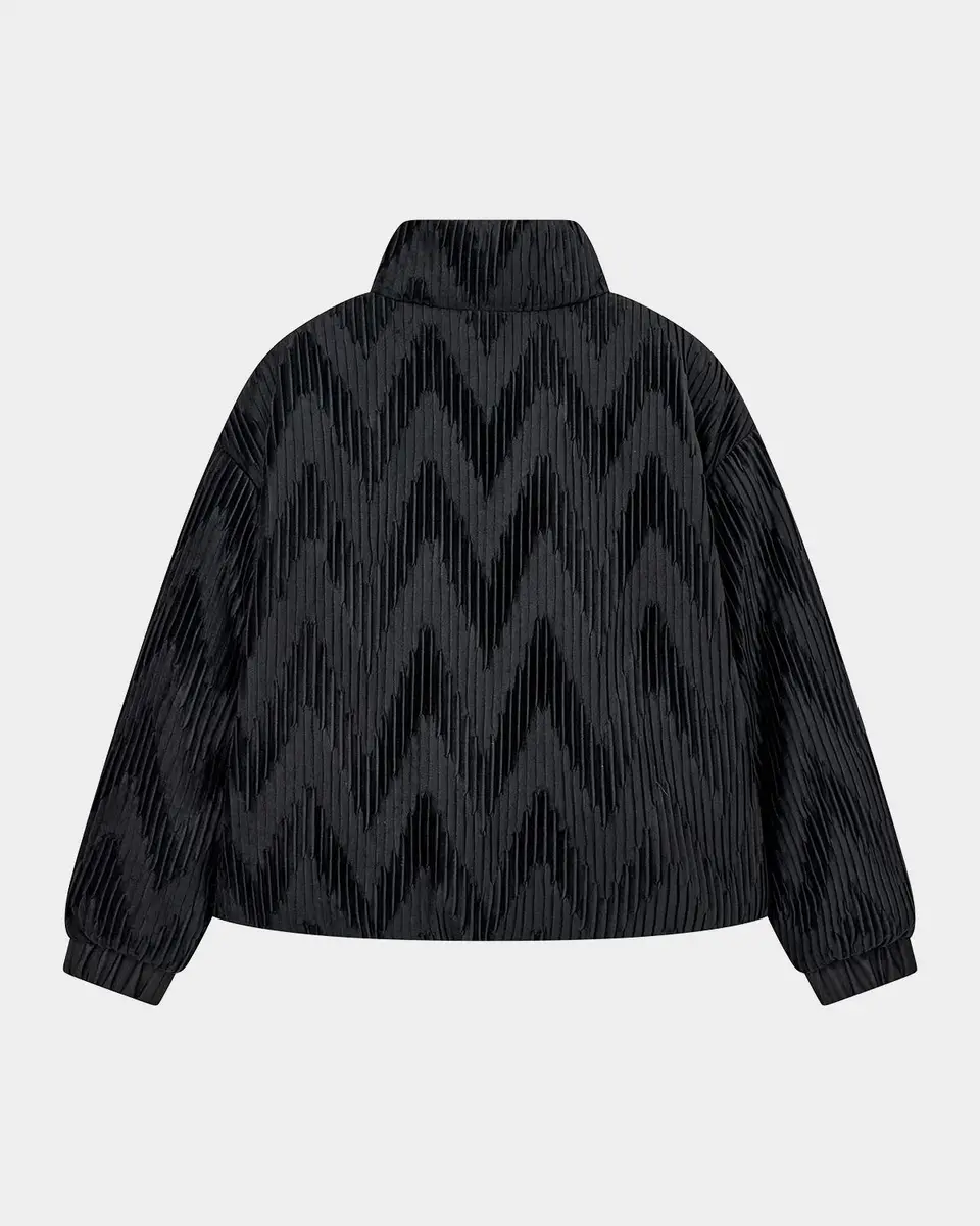 Emporio Armani Chevron Velvet Down Jacket | Thumbnail 2