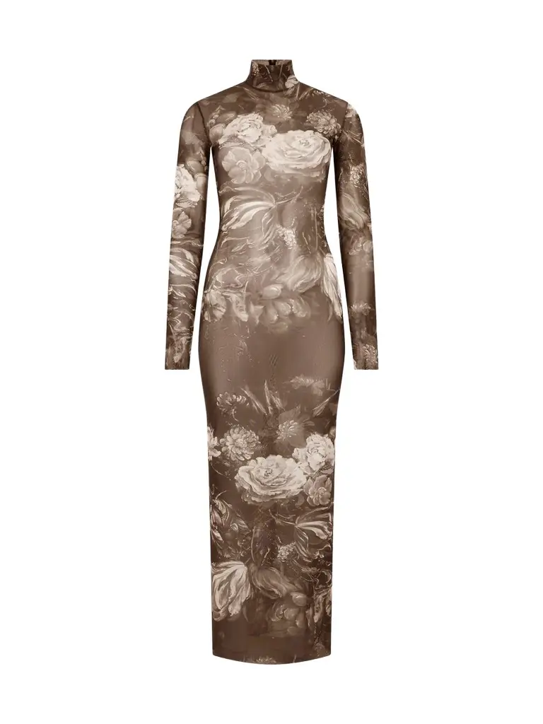 Roberto Cavalli Women's Printed Sheer Maxi Dress