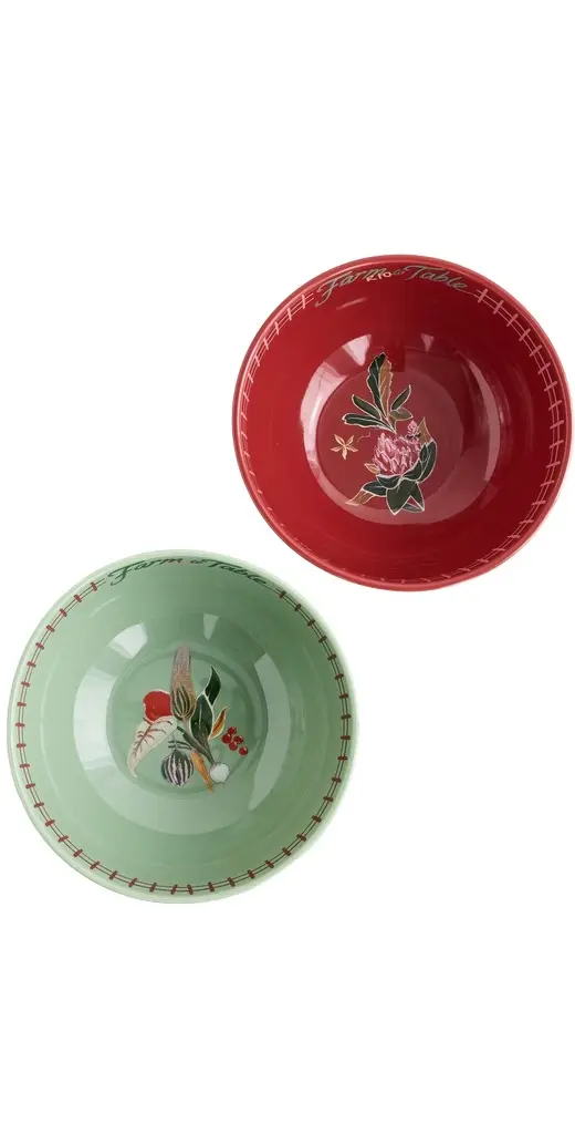 Farm Rio Painted Farm Bowls Set of 2