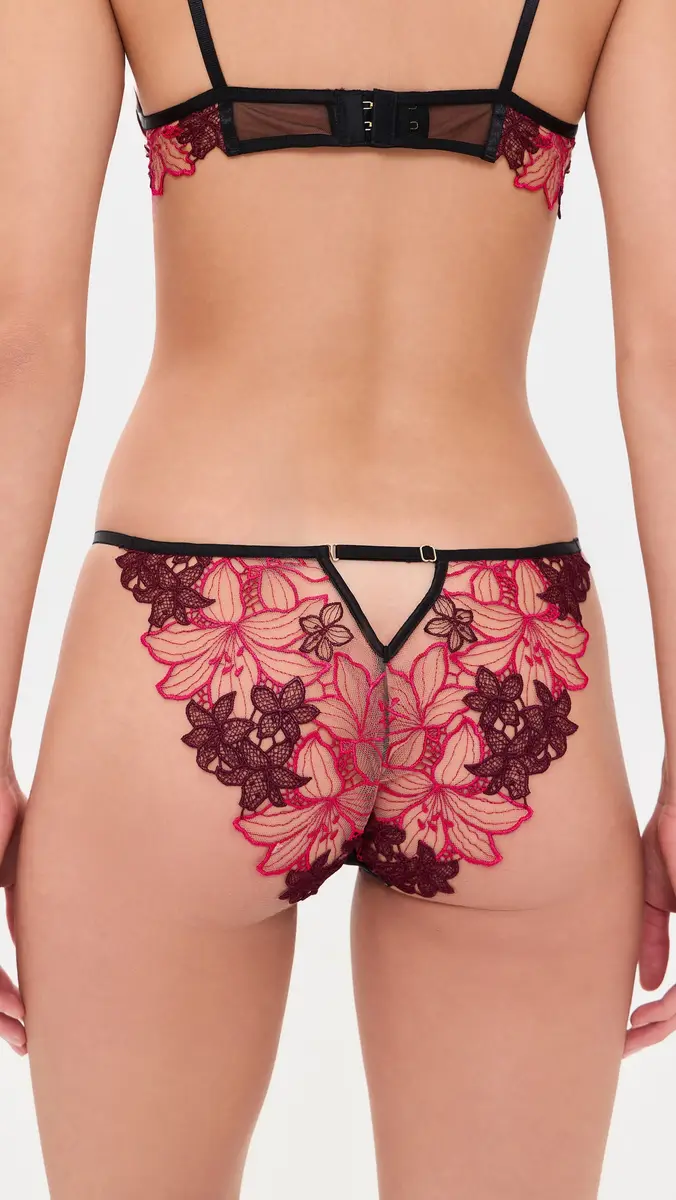 Bluebella Calantha Briefs | Thumbnail 3 Bluebella Calantha Briefs | Thumbnail 3