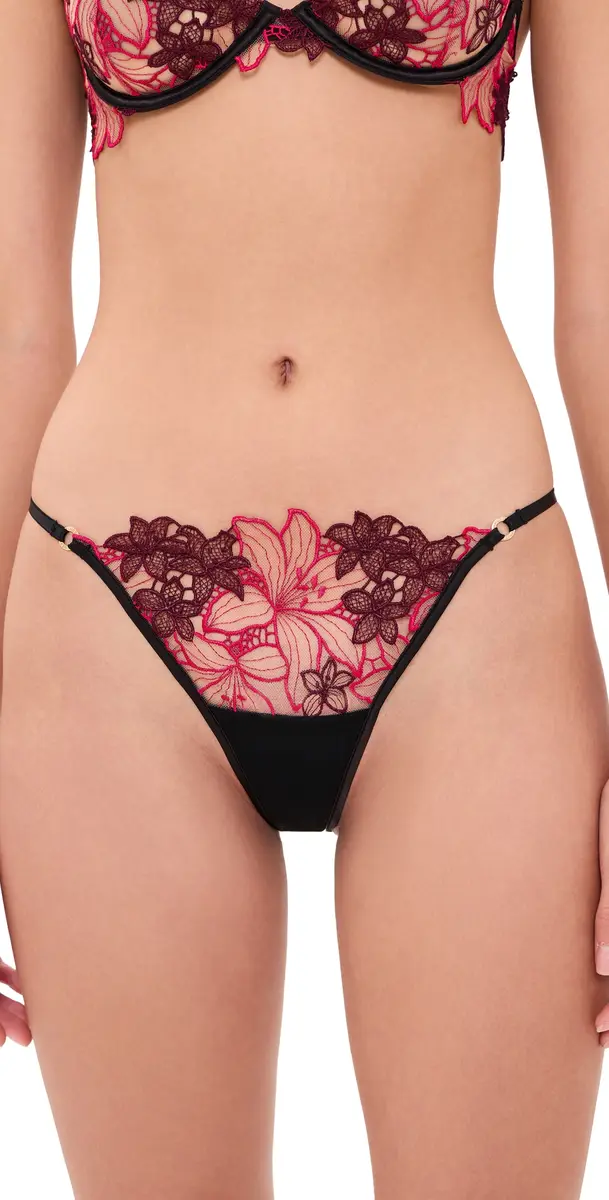 Bluebella Calantha Briefs