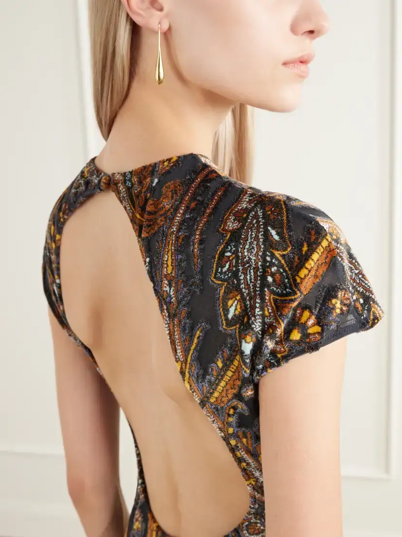 Etro Open-back Paisley Devoré-velvet Maxi Dress | Thumbnail 5 Etro Open-back Paisley Devoré-velvet Maxi Dress | Thumbnail 5