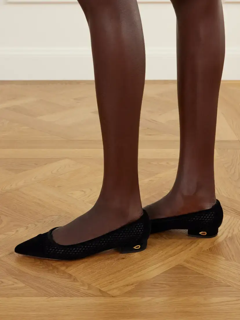 Jennifer Chamandi Lorenzo 20 Suede-trimmed Mesh Ballet Flats | Thumbnail 6 Jennifer Chamandi Lorenzo 20 Suede-trimmed Mesh Ballet Flats | Thumbnail 6