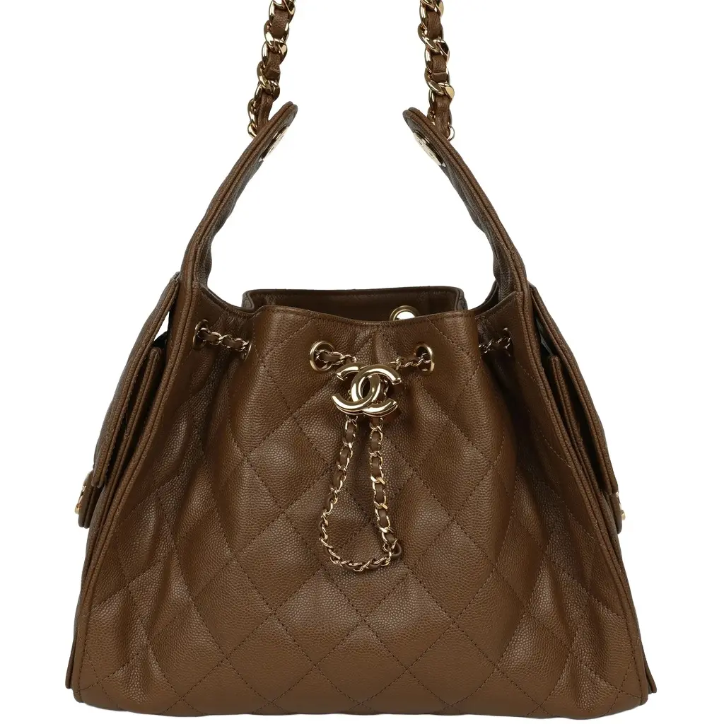Chanel Chanel Small 25 Hobo Bag Brown Shiny Caviar Gold Hardware