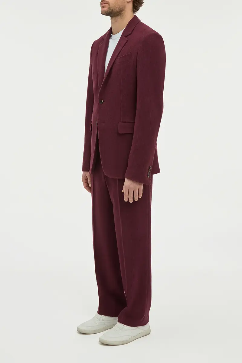 Gabriela Hearst Harold Straight-leg Trouser in Plum Cashmere Corduroy | Thumbnail 4