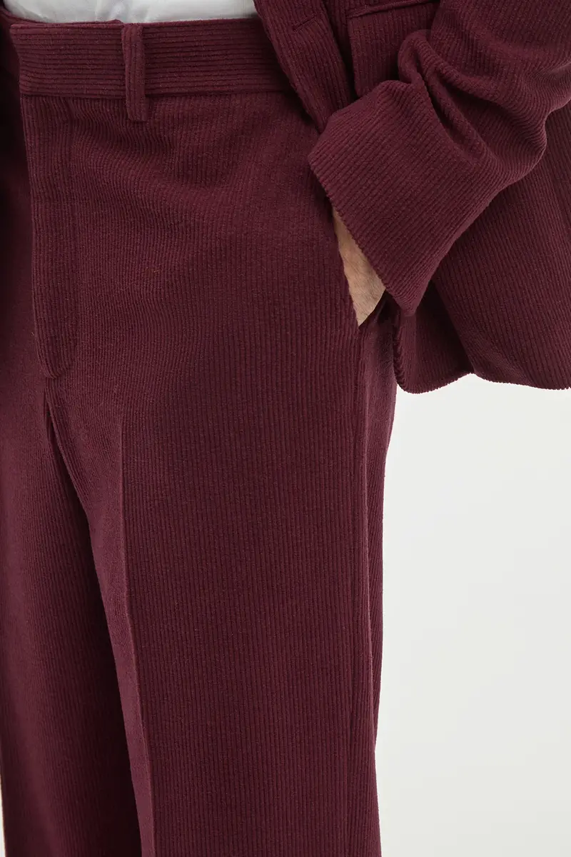 Gabriela Hearst Harold Straight-leg Trouser in Plum Cashmere Corduroy | Thumbnail 6