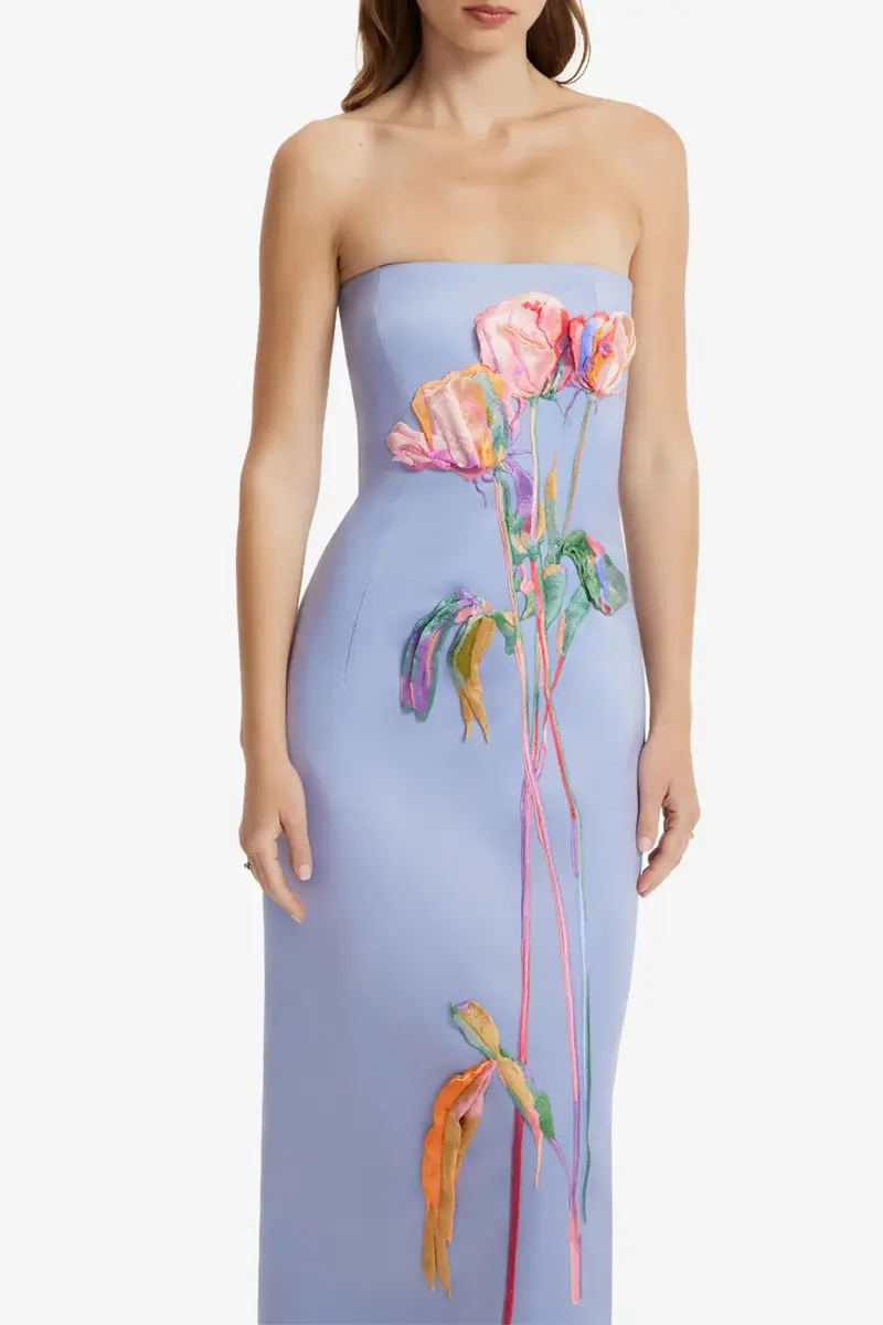 LEO LIN Rayna Embroidered Bustier Maxi Dress | Thumbnail 4 LEO LIN Rayna Embroidered Bustier Maxi Dress | Thumbnail 4
