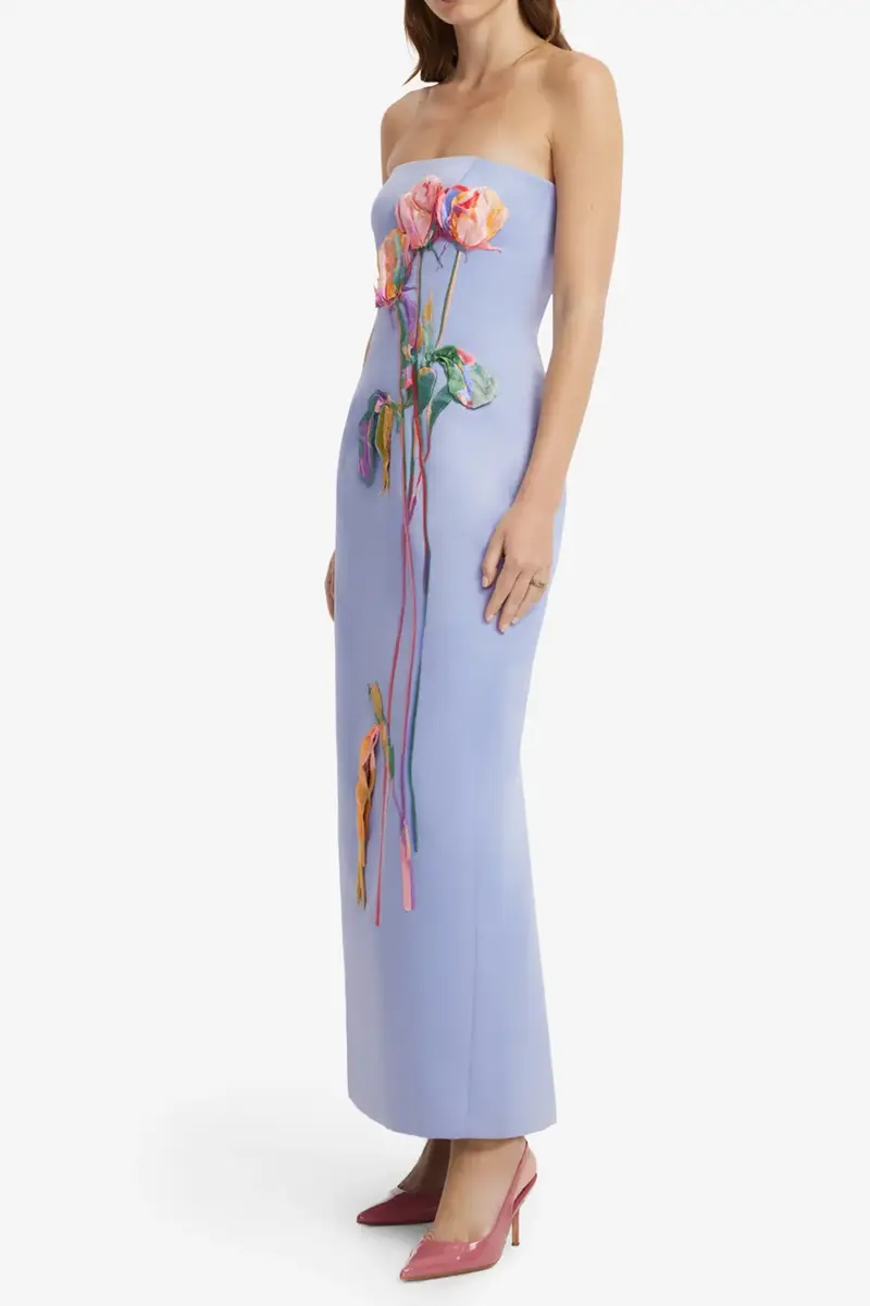 LEO LIN Rayna Embroidered Bustier Maxi Dress | Thumbnail 5 LEO LIN Rayna Embroidered Bustier Maxi Dress | Thumbnail 5