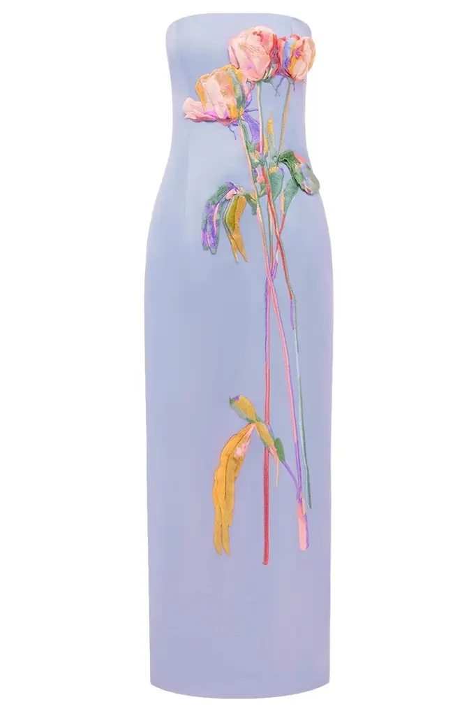 Rayna Embroidered Bustier Maxi Dress Rayna Embroidered Bustier Maxi Dress
