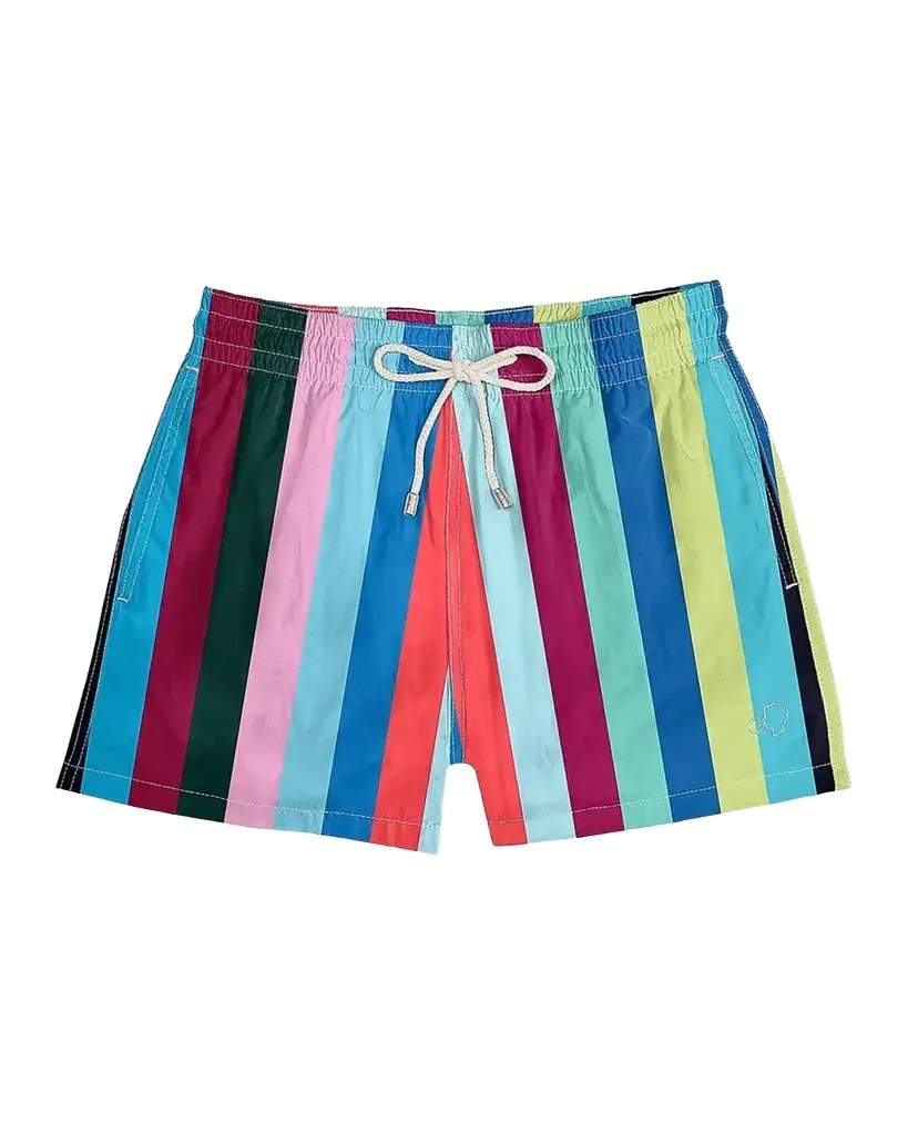 Men's Striped Swim Shorts Men's Striped Swim Shorts