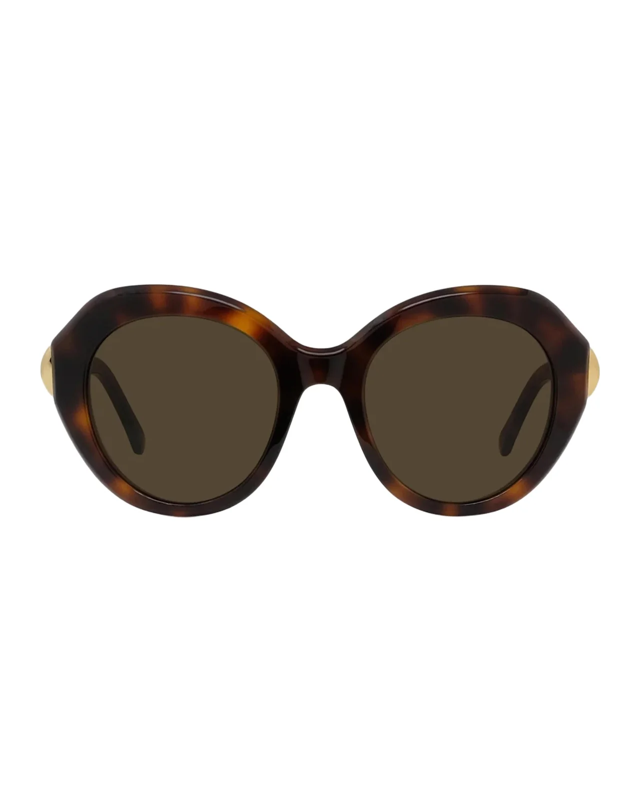 Loewe Coil 52MM Geometric Sunglasses