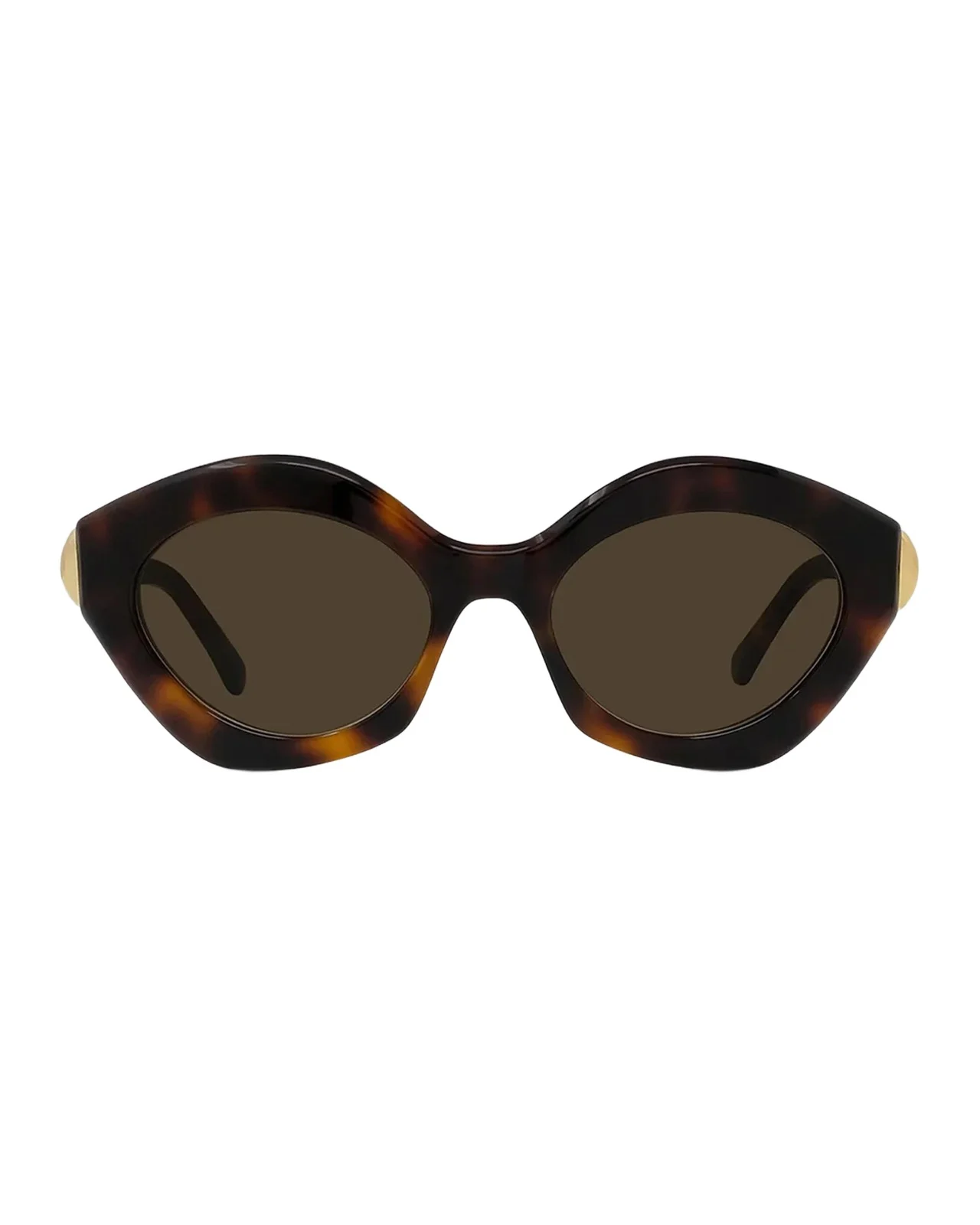 Loewe Coil 53MM Geometric Cat-Eye Sunglasses