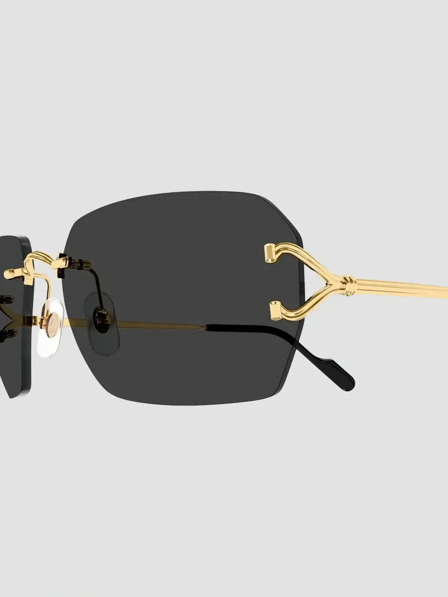 Cartier Women's Motifs De 59MM Square Sunglasses | Thumbnail 3