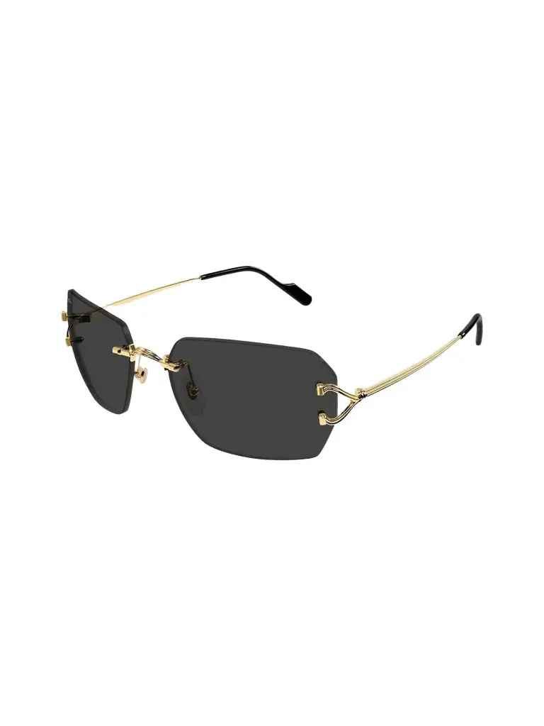 Cartier Women's Motifs De 59MM Square Sunglasses