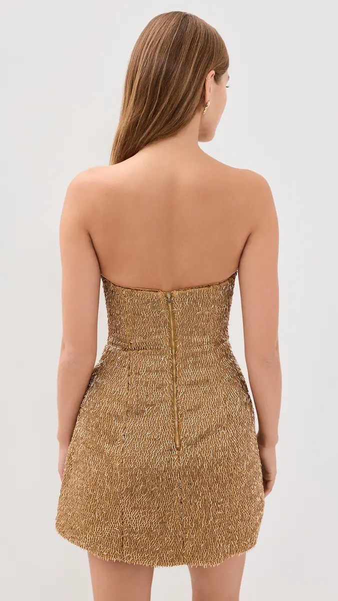 Bardot Florine Hourglass Mini Dress | Thumbnail 3
