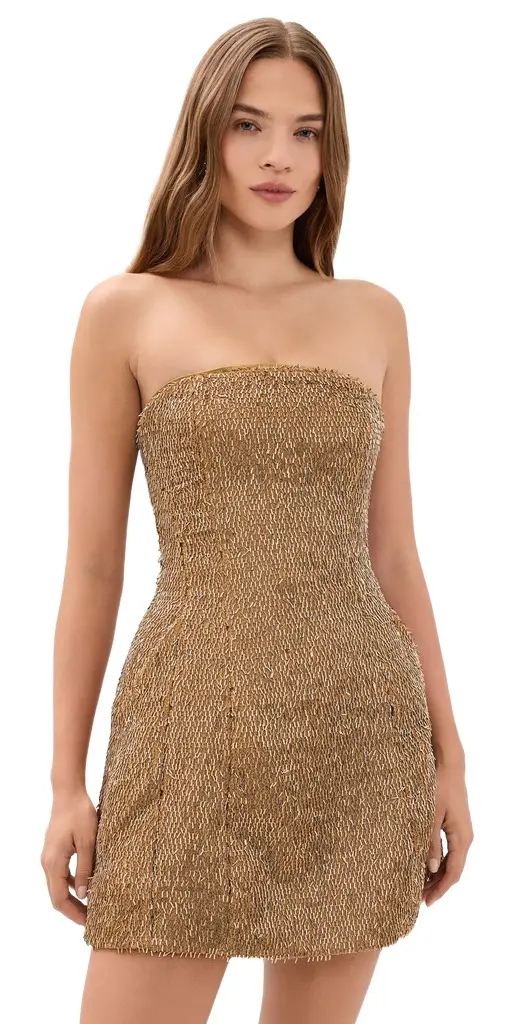 Bardot Florine Hourglass Mini Dress