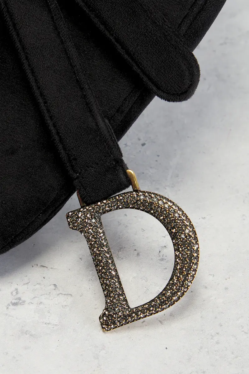 Dior Dior Velvet Mini Saddle Bag | Thumbnail 6 Dior Dior Velvet Mini Saddle Bag | Thumbnail 6