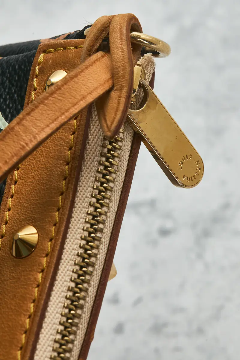 Louis Vuitton Louis Vuitton Monogram Pochette Accessoires Shoulder Bag | Thumbnail 7