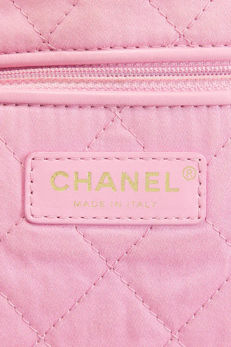 Chanel Chanel Calfskin Small 22 Hobo Bag | Thumbnail 5