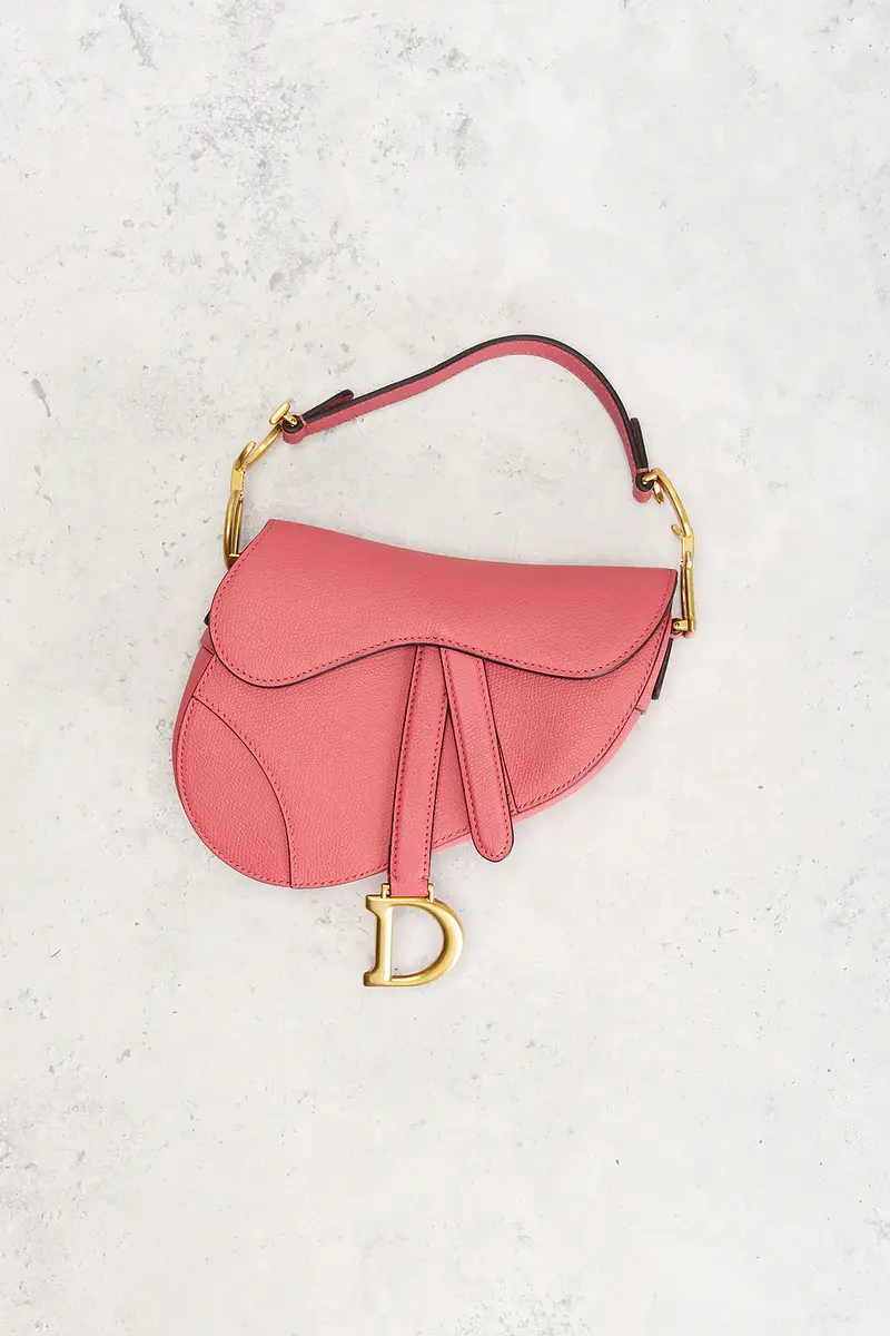 Dior Dior Mini Saddle Bag | Thumbnail 2