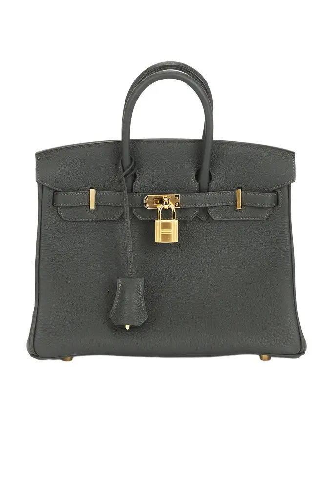 Hermes Togo Birkin 25 Handbag