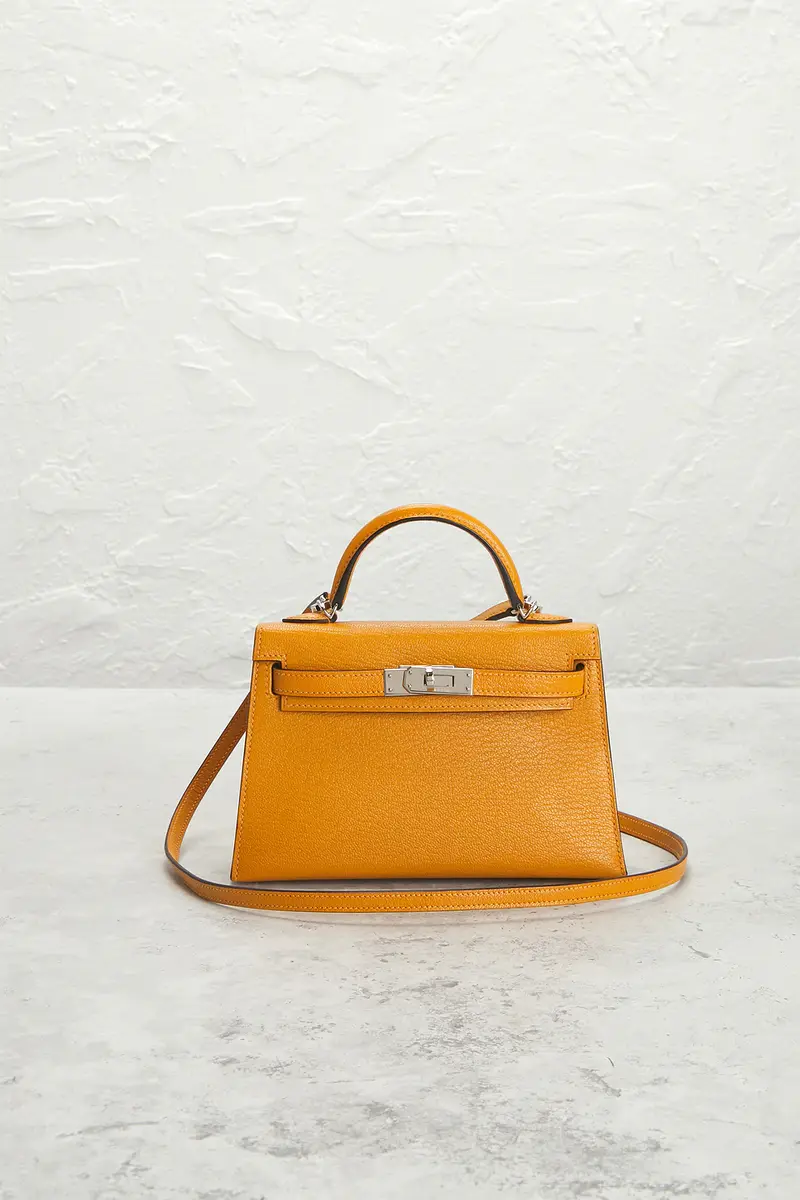 HERMÈS Hermes Chevre Kelly 20 Handbag | Thumbnail 2 HERMÈS Hermes Chevre Kelly 20 Handbag | Thumbnail 2
