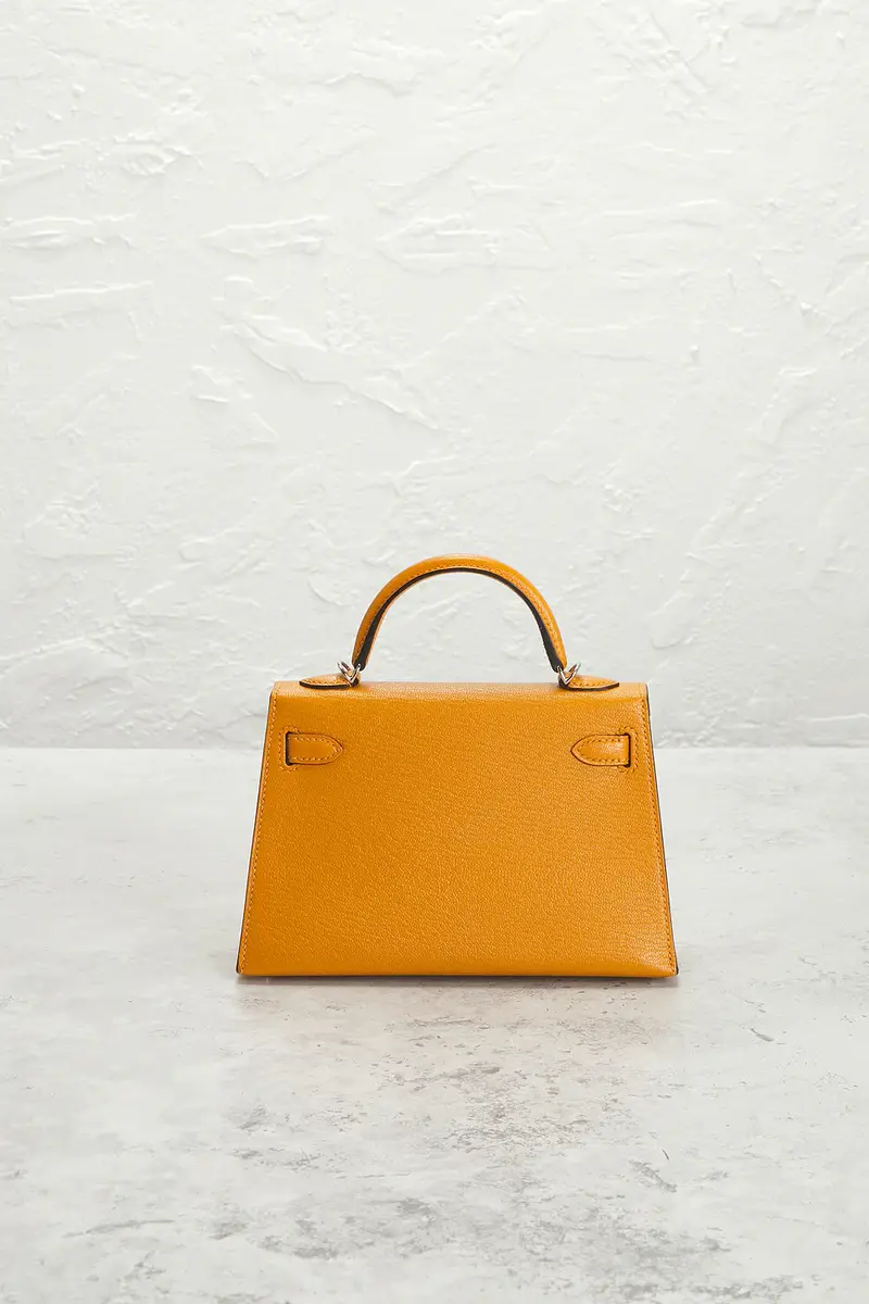 HERMÈS Hermes Chevre Kelly 20 Handbag | Thumbnail 3 HERMÈS Hermes Chevre Kelly 20 Handbag | Thumbnail 3