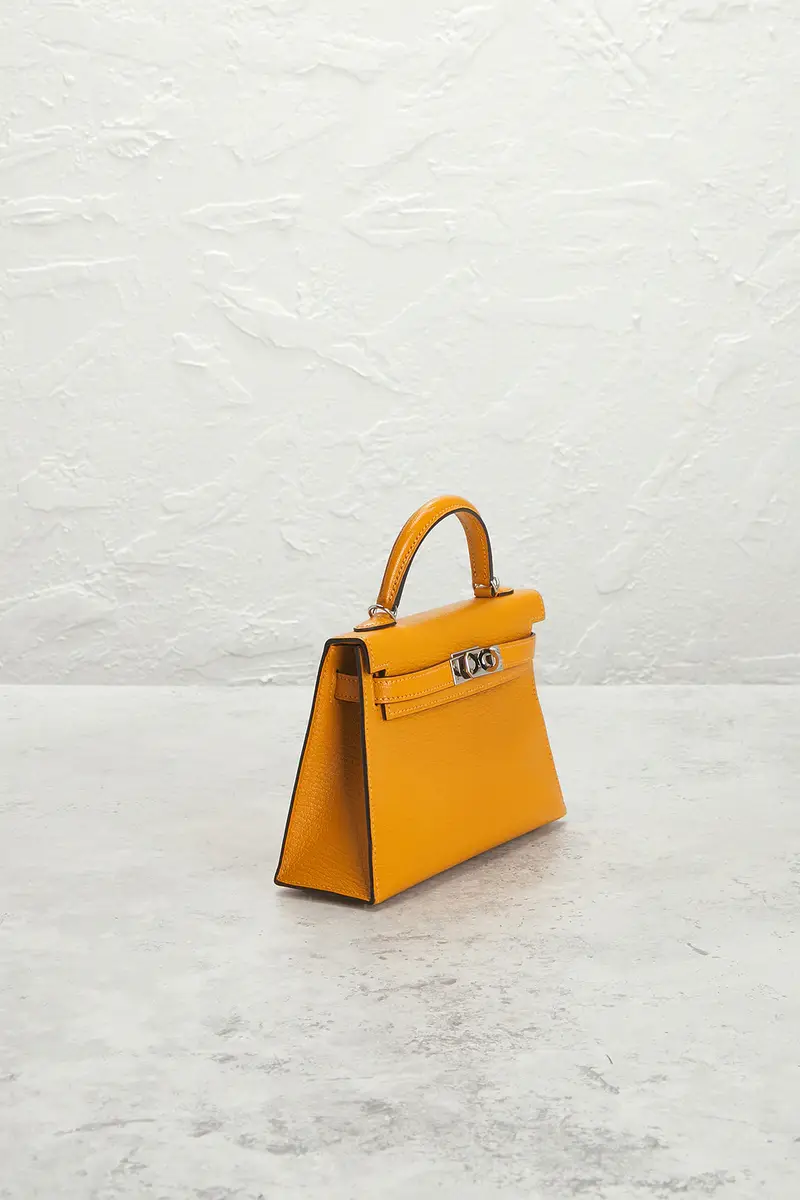 HERMÈS Hermes Chevre Kelly 20 Handbag | Thumbnail 4 HERMÈS Hermes Chevre Kelly 20 Handbag | Thumbnail 4