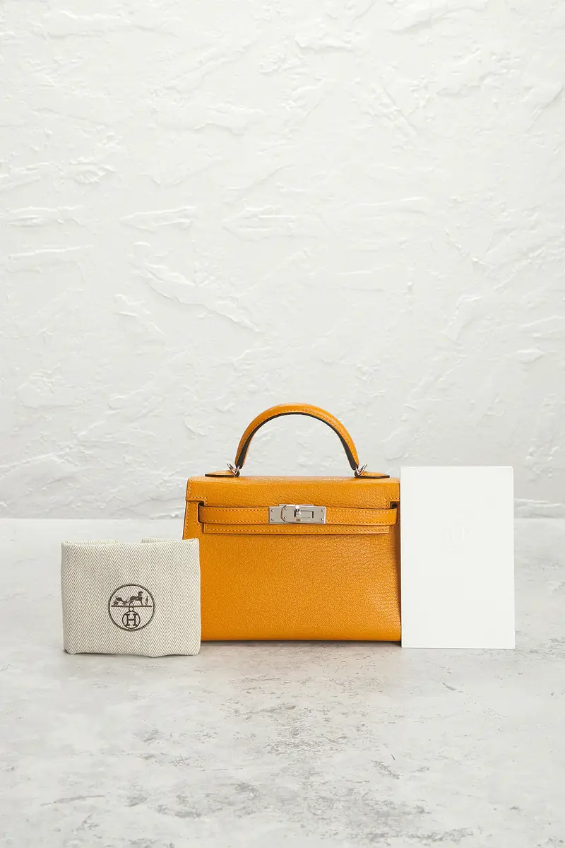 HERMÈS Hermes Chevre Kelly 20 Handbag | Thumbnail 9 HERMÈS Hermes Chevre Kelly 20 Handbag | Thumbnail 9