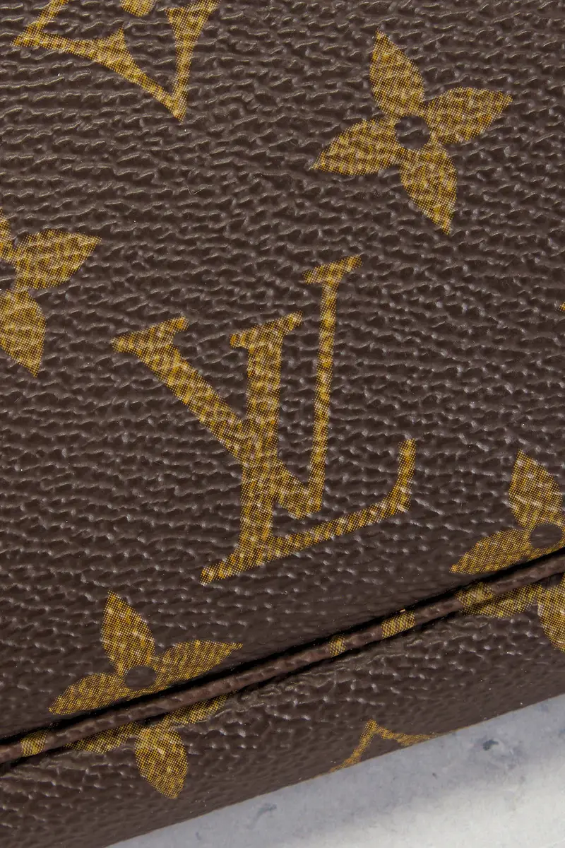 Louis Vuitton Louis Vuitton Monogram Pochette Accessoires Shoulder Bag | Thumbnail 6
