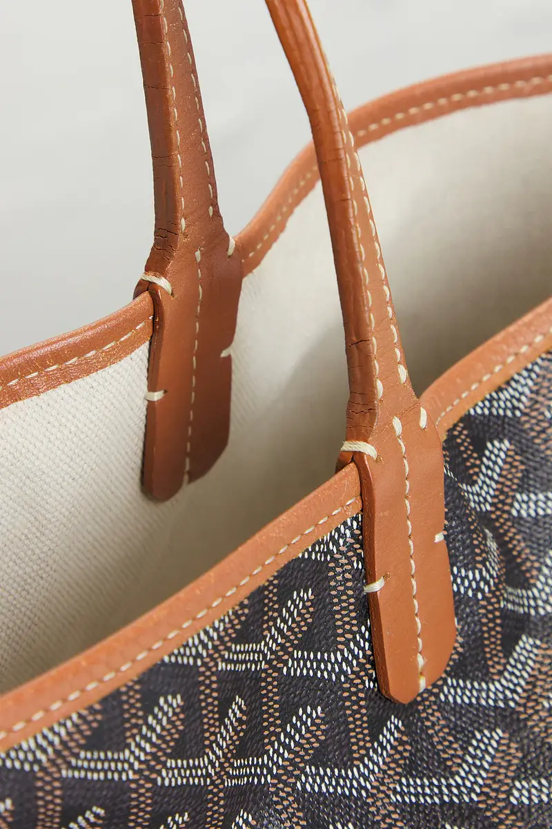 goyard Goyard Saint Louis PM Tote Bag | Thumbnail 7