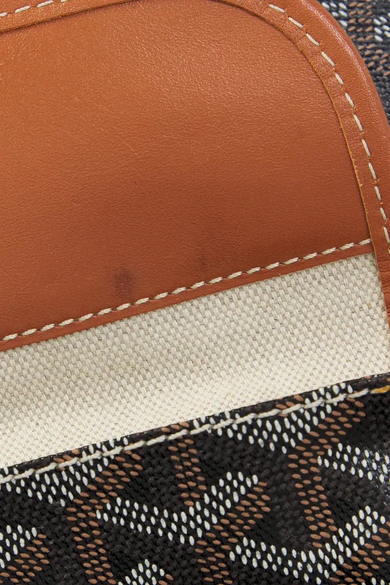 goyard Goyard Saint Louis PM Tote Bag | Thumbnail 6