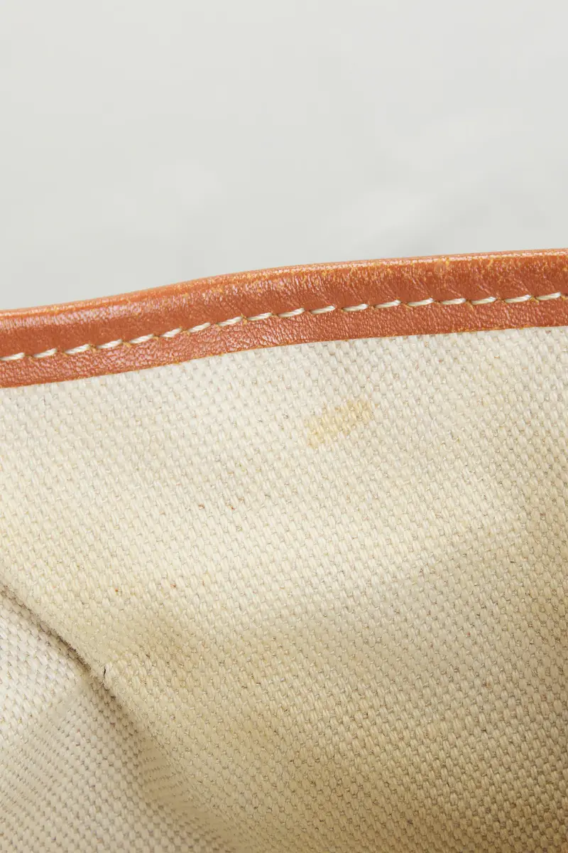goyard Goyard Saint Louis PM Tote Bag | Thumbnail 7