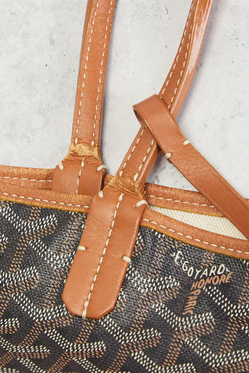 goyard Goyard Saint Louis PM Tote Bag | Thumbnail 8
