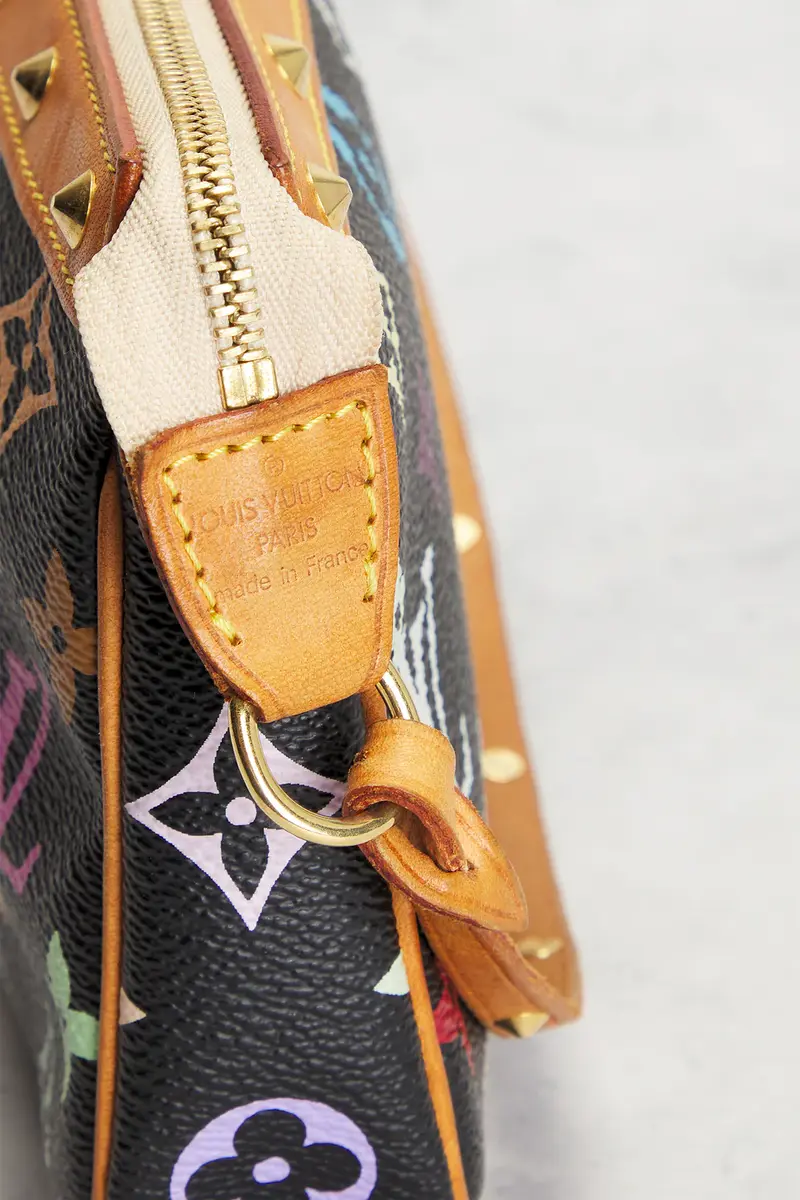 Louis Vuitton Louis Vuitton Monogram Pochette Accessoires Shoulder Bag | Thumbnail 6