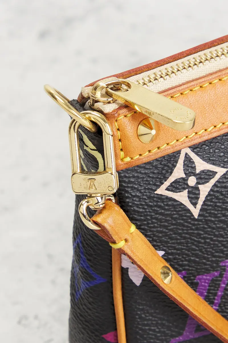 Louis Vuitton Louis Vuitton Monogram Pochette Accessoires Shoulder Bag | Thumbnail 7