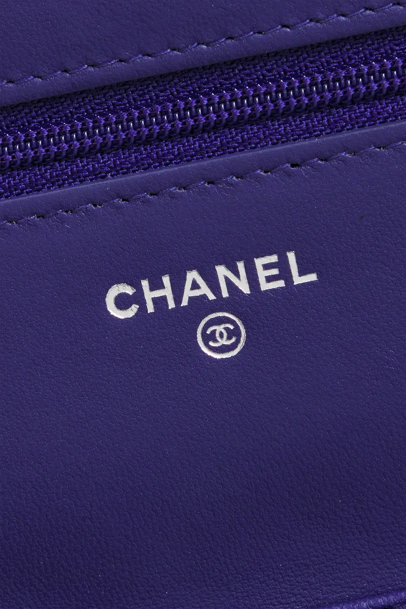 Chanel Chanel Lambskin Classic Wallet On Chain | Thumbnail 5 Chanel Chanel Lambskin Classic Wallet On Chain | Thumbnail 5