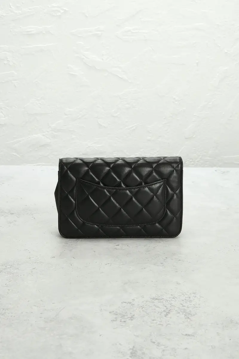 Chanel Chanel Lambskin Classic Wallet On Chain | Thumbnail 3
